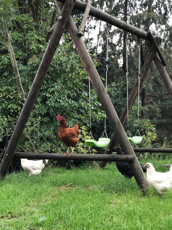 Farmhouse Eckartsberg Im Zittauer Gebirge - Ferienwohnung Mit 2 Schlafzimmern, Terrasse Und Wallbox Mittelherwigsdorf Eksteriør billede